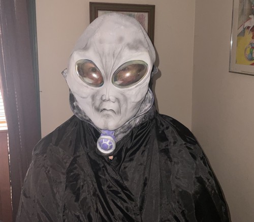 Costume halloween maschera - costume,